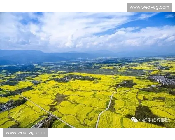 开云体育客服：让每一次竞猜都从容顺畅的守护者